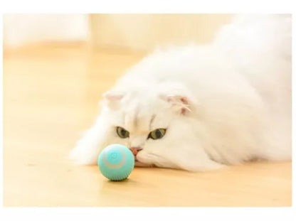 Pelota Interactiva para Mascotas